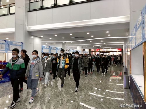 營口站前區(qū) 人力資源產(chǎn)業(yè)園 構(gòu)建國際 人才港