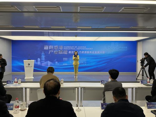 嘉有港灣 產(chǎn)業(yè)賦能 嘉定區(qū)舉辦人力資源服務(wù)業(yè)發(fā)展大會(huì)