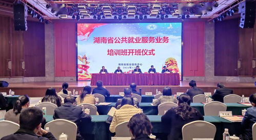 湖南人社 推動基層就業服務工作全面提質增效 湖南省人力資源和社會保障廳