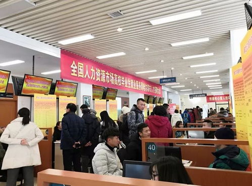 2018年全國人力資源高校畢業(yè)生就業(yè)服務周 哈爾濱市人才招聘大會成功舉辦