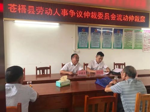蒼梧縣人力資源和社會(huì)保障局2022年度工作成效