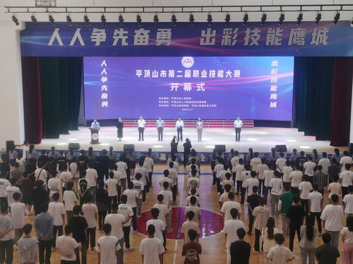 平頂山高新區(qū)人力資源管理局組織企業(yè)參加平頂山市第二屆職業(yè)技能大賽
