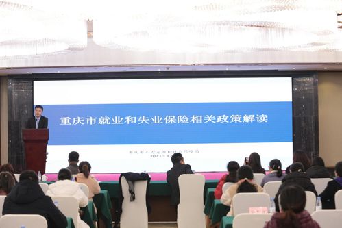 重慶市人力社保局引導人力資源企業健康有序發展
