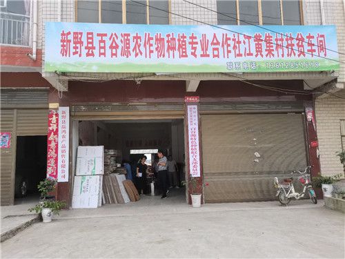 河南省文化傳播企業(yè)聯(lián)合會助力全省脫貧攻堅走進江黃集村捐贈儀式