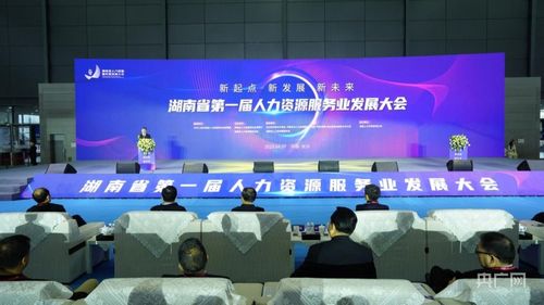 湖南力爭人力資源服務營收突破600億元 央廣網